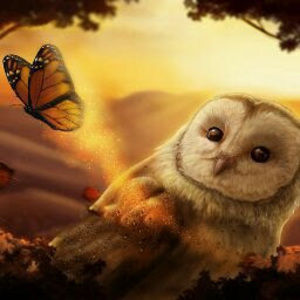 Meet your Posher, Elisabet